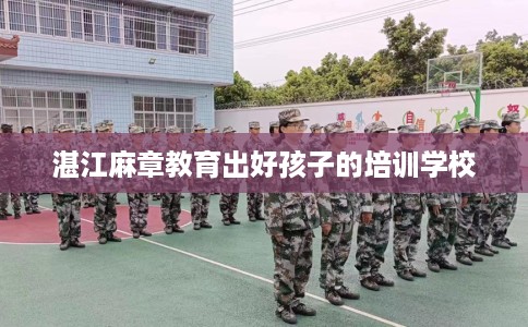 湛江麻章教育出好孩子的培训学校