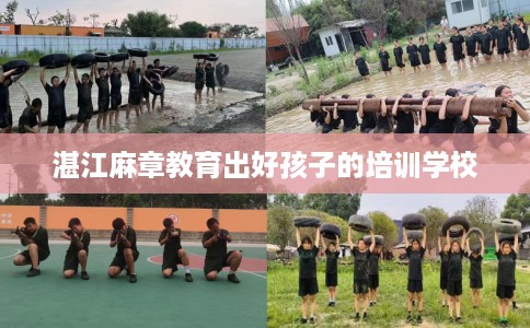 湛江麻章教育出好孩子的培训学校