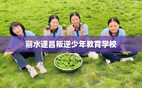 丽水遂昌叛逆少年教育学校