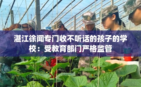 湛江徐闻专门收不听话的孩子的学校：受教育部门严格监管