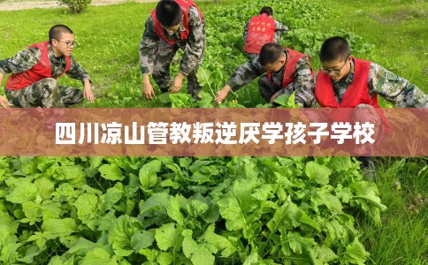 四川凉山管教叛逆厌学孩子学校