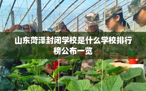 山东菏泽封闭学校是什么学校排行榜公布一览