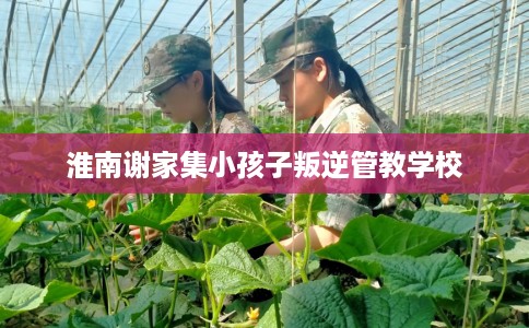 淮南谢家集小孩子叛逆管教学校