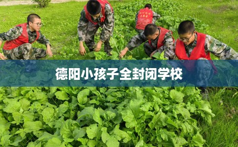 德阳小孩子全封闭学校