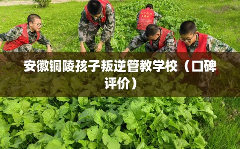 安徽铜陵孩子叛逆管教学校（口碑评价）