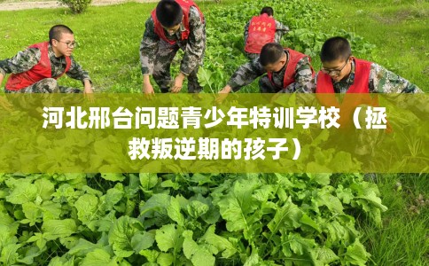 河北邢台问题青少年特训学校（拯救叛逆期的孩子）