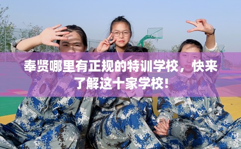 奉贤哪里有正规的特训学校，快来了解这十家学校!