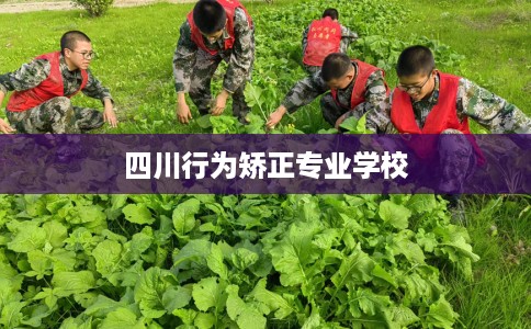 四川行为矫正专业学校