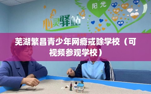芜湖繁昌青少年网瘾戒除学校（可视频参观学校）