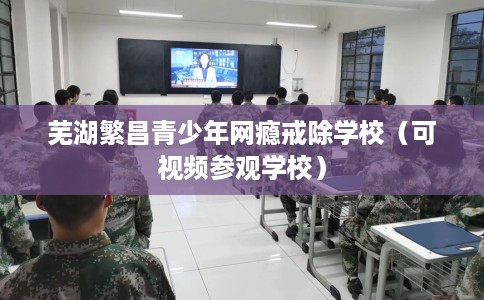 芜湖繁昌青少年网瘾戒除学校（可视频参观学校）
