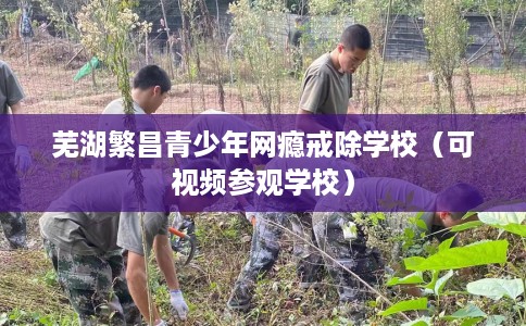 芜湖繁昌青少年网瘾戒除学校（可视频参观学校）
