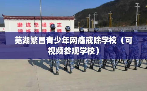 芜湖繁昌青少年网瘾戒除学校（可视频参观学校）