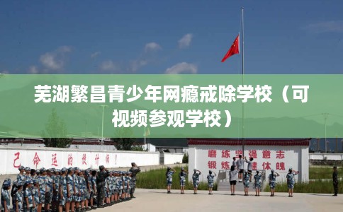 芜湖繁昌青少年网瘾戒除学校（可视频参观学校）