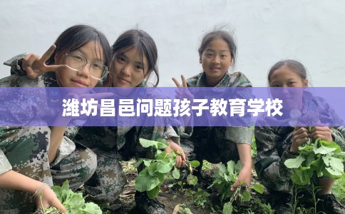潍坊昌邑问题孩子教育学校