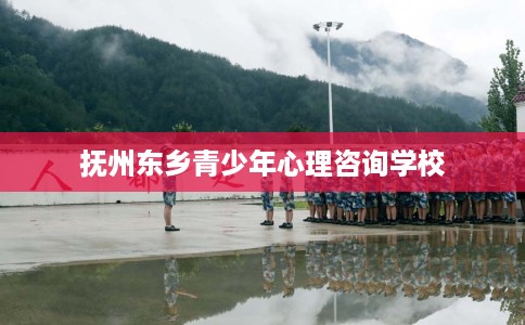 抚州东乡青少年心理咨询学校