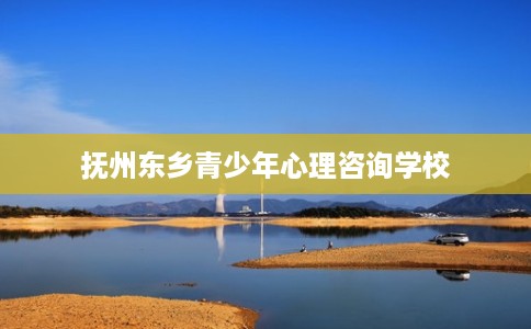 抚州东乡青少年心理咨询学校