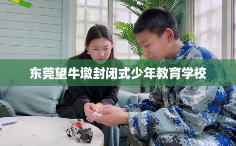 东莞望牛墩封闭式少年教育学校