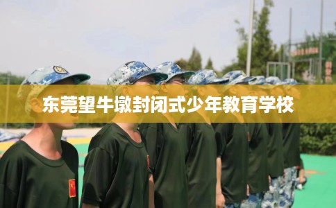 东莞望牛墩封闭式少年教育学校