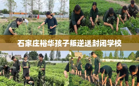 石家庄裕华孩子叛逆送封闭学校