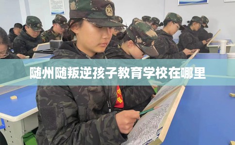 随州随叛逆孩子教育学校在哪里