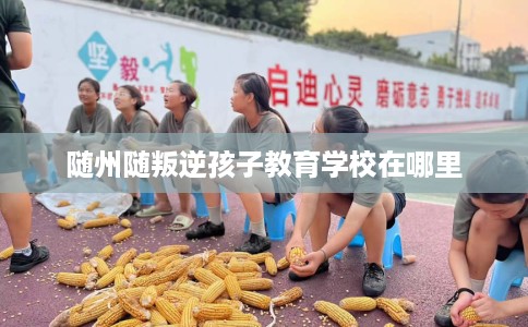 随州随叛逆孩子教育学校在哪里