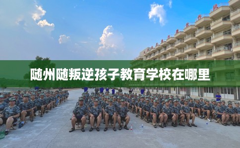 随州随叛逆孩子教育学校在哪里