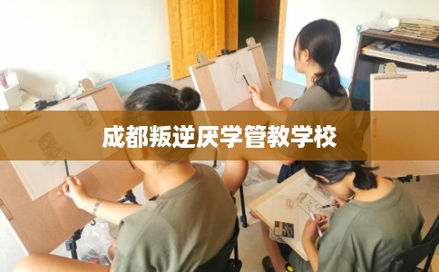 成都叛逆厌学管教学校