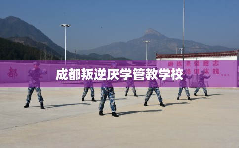 成都叛逆厌学管教学校
