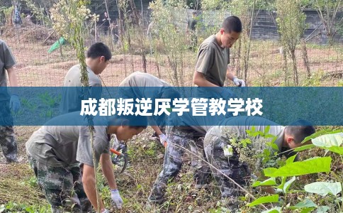 成都叛逆厌学管教学校