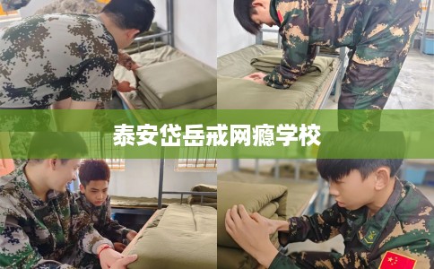 泰安岱岳戒网瘾学校