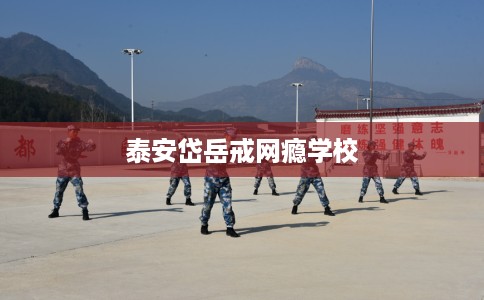 泰安岱岳戒网瘾学校