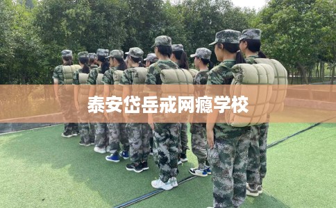 泰安岱岳戒网瘾学校