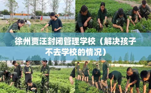 徐州贾汪封闭管理学校（解决孩子不去学校的情况）