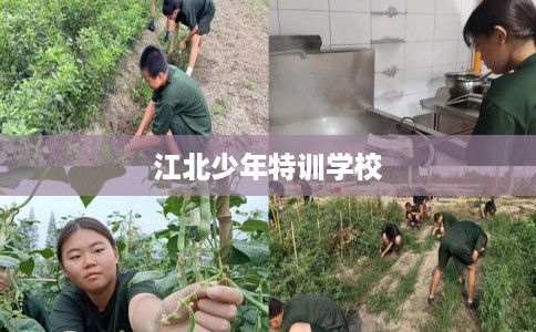 江北少年特训学校