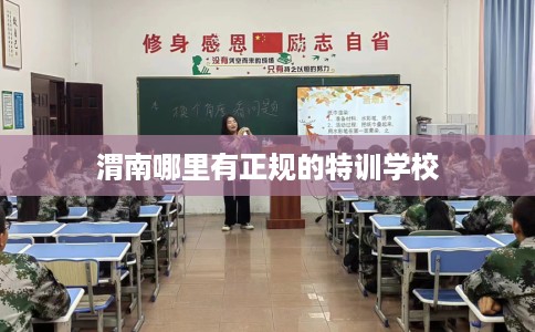 渭南哪里有正规的特训学校