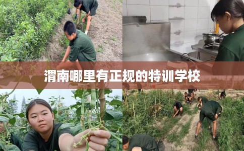 渭南哪里有正规的特训学校