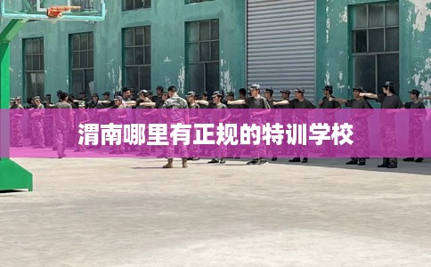 渭南哪里有正规的特训学校