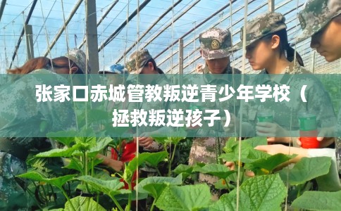 张家口赤城管教叛逆青少年学校（拯救叛逆孩子）