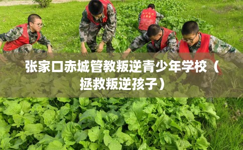 张家口赤城管教叛逆青少年学校（拯救叛逆孩子）