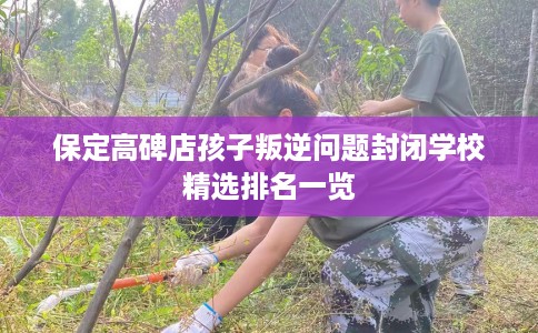 保定高碑店孩子叛逆问题封闭学校精选排名一览