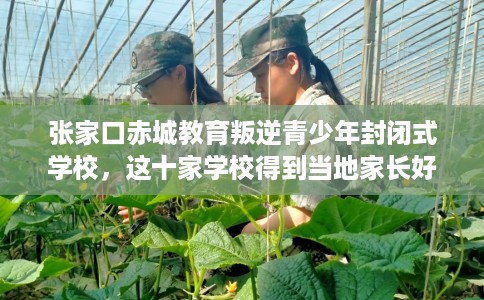 张家口赤城教育叛逆青少年封闭式学校，这十家学校得到当地家长好评！