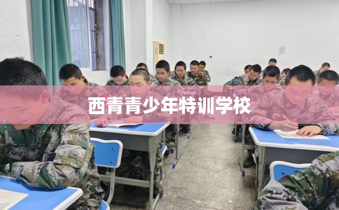 西青青少年特训学校