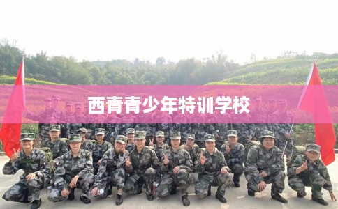 西青青少年特训学校