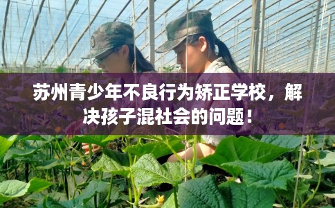 苏州青少年不良行为矫正学校，解决孩子混社会的问题！