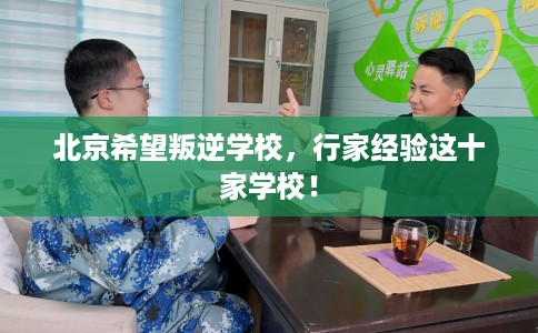 北京希望叛逆学校，行家经验这十家学校！