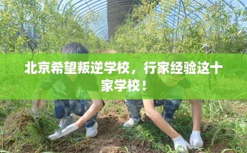 北京希望叛逆学校，行家经验这十家学校！