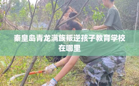 秦皇岛青龙满族叛逆孩子教育学校在哪里