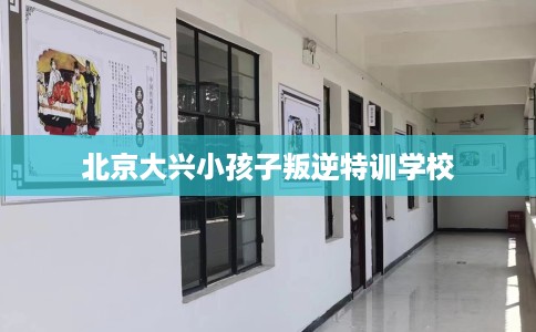 北京大兴小孩子叛逆特训学校
