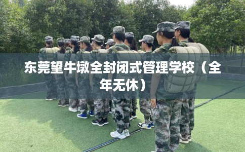 东莞望牛墩全封闭式管理学校（全年无休）