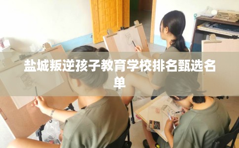 盐城叛逆孩子教育学校排名甄选名单